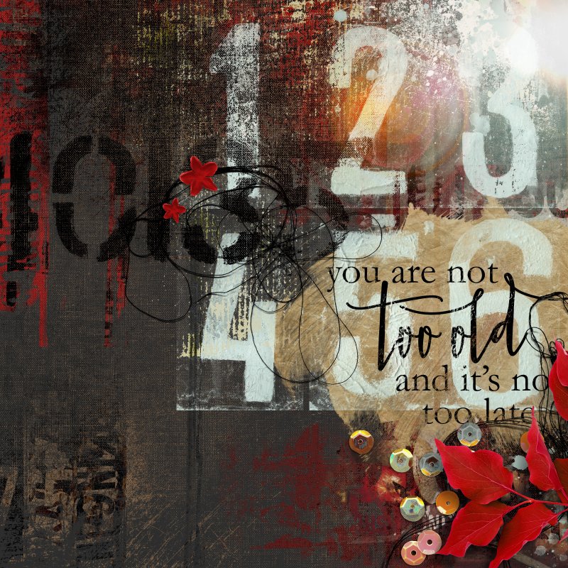You Are Not Too Old