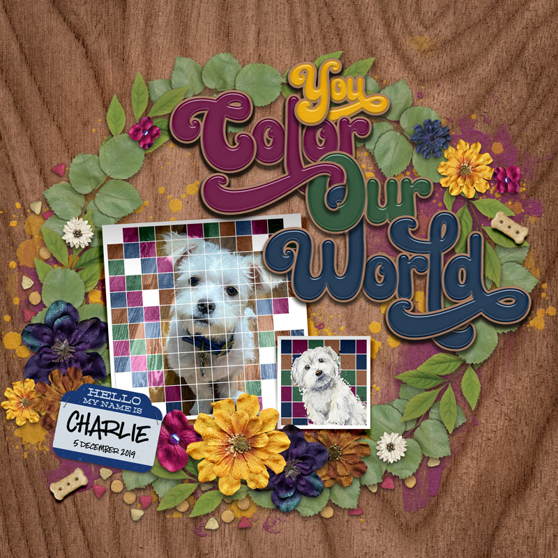 You Color Our World (MOC #5)