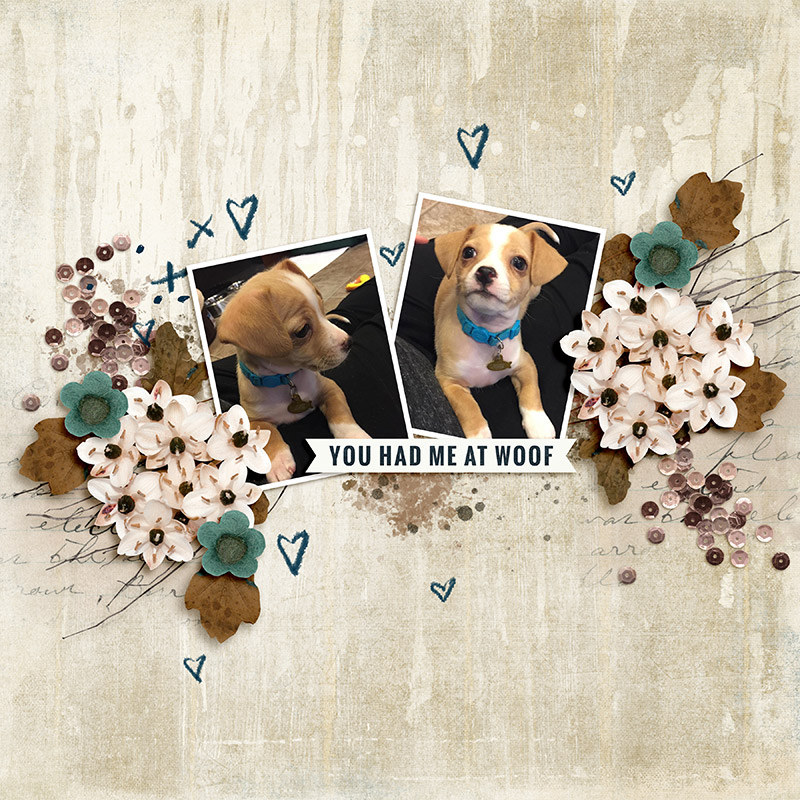 You Had Me At Woof!
