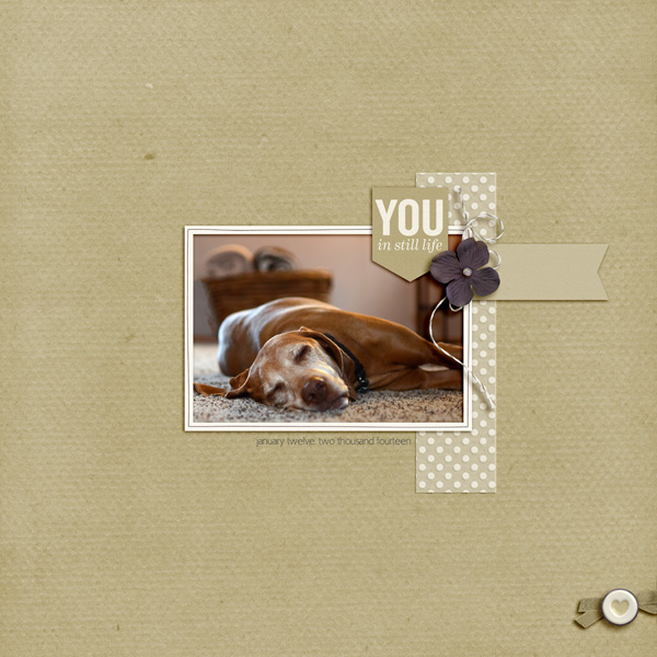 you in still life