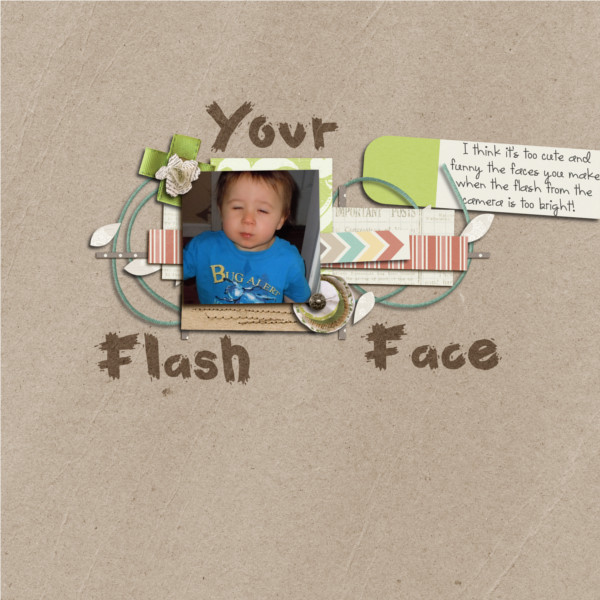 Your Flash Face