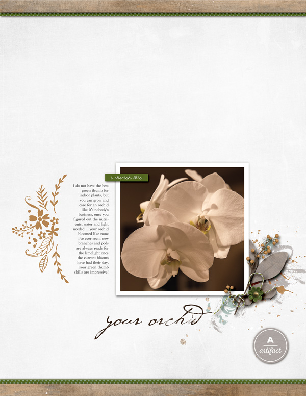 your orchid