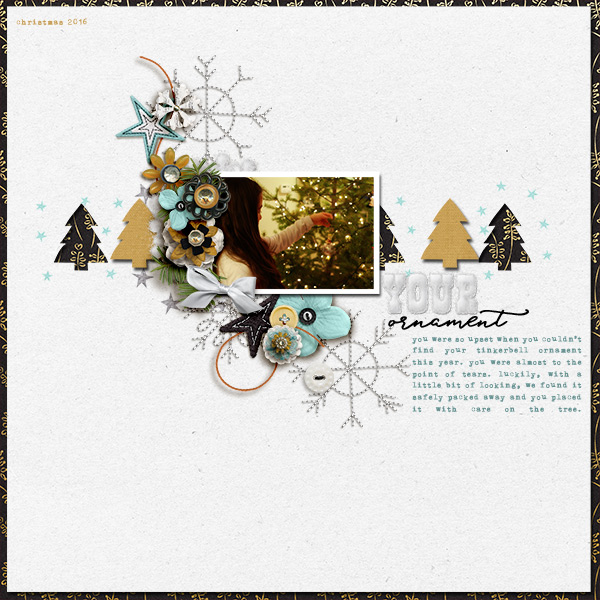 Your Ornament