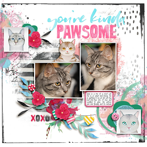 You're Kind Of Pawsome