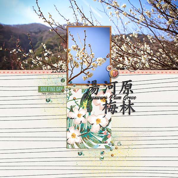 Yugawara Plum Grove