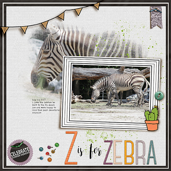 Z is for Zebra