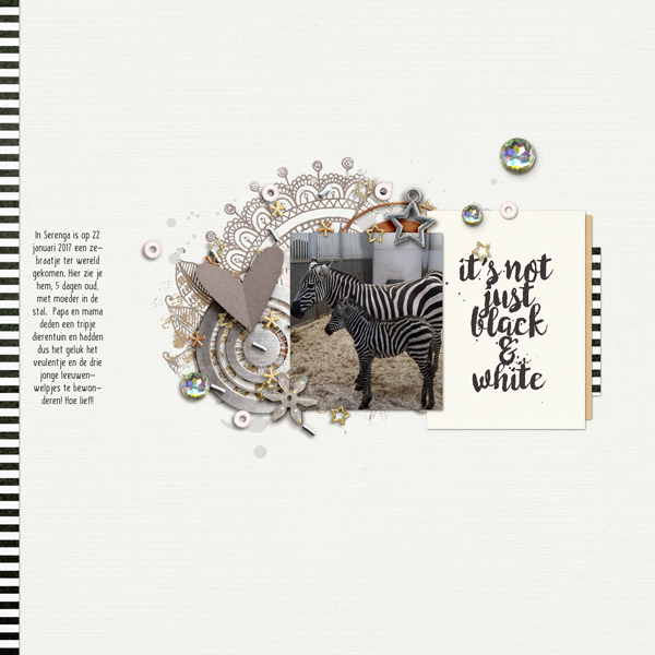 Zebra - MOC5 Day 24