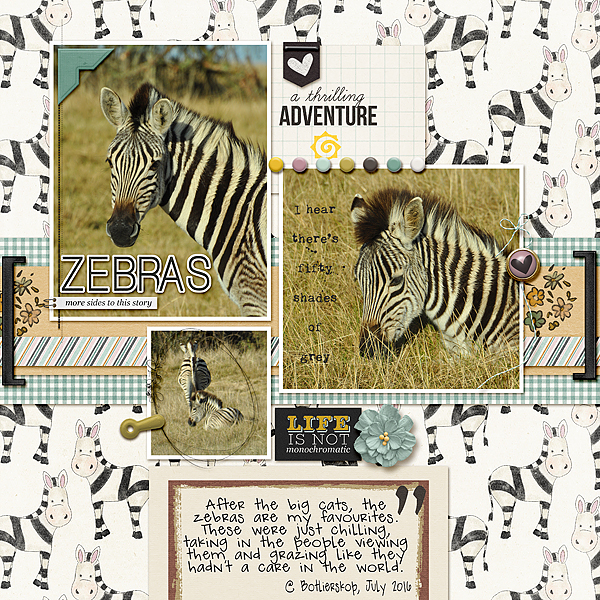 Zebras