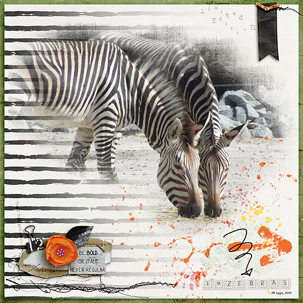 Zebras