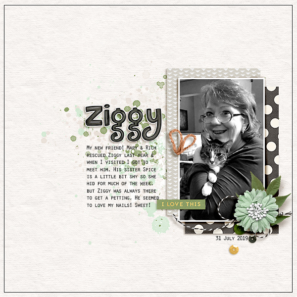 "Ziggy"