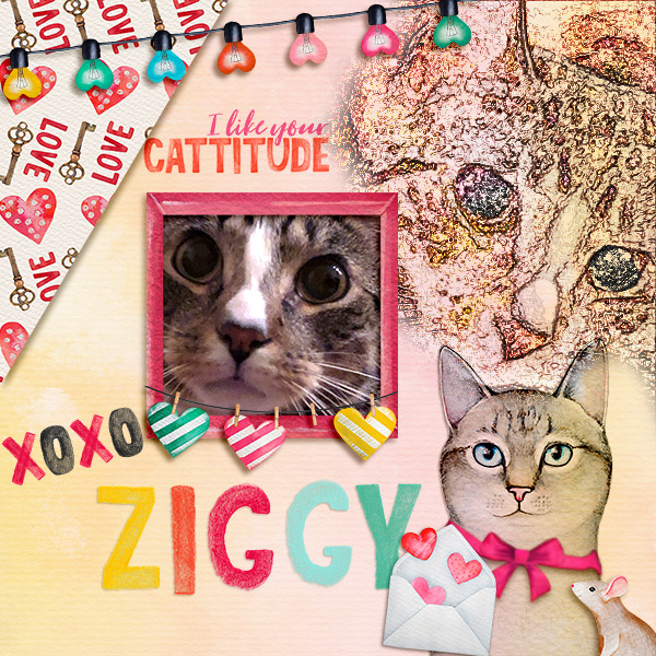 Ziggy
