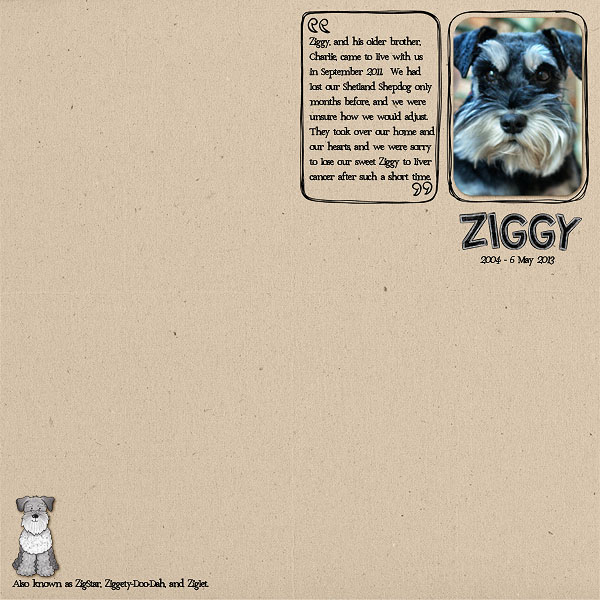 Ziggy