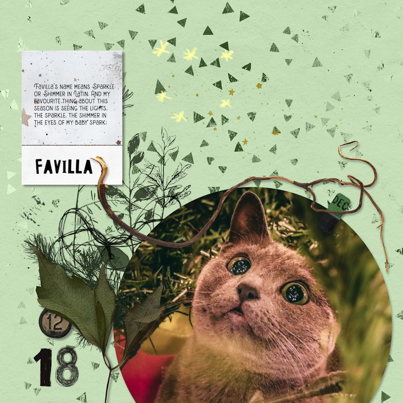 Zinzilah_Favilla_spark800