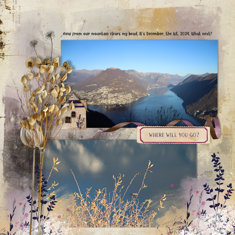 Zinzilah_still Dreaming_view800