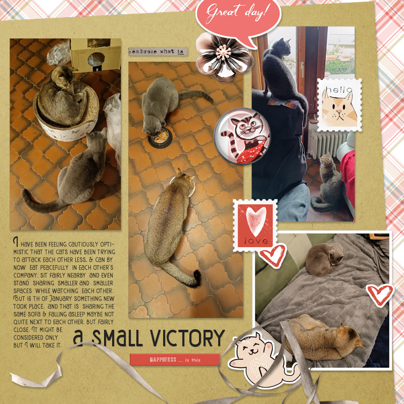 Zinzilah_victory