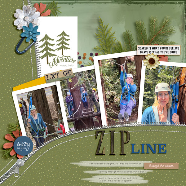 Zip Line
