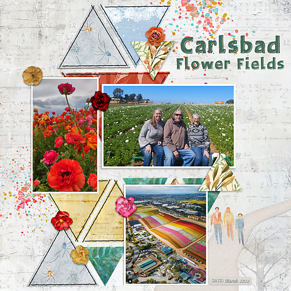 Zipline Challenge Flower Fields