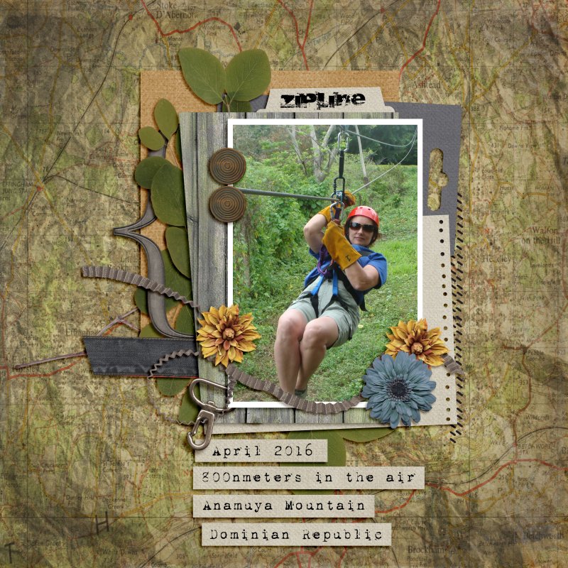 Zipline