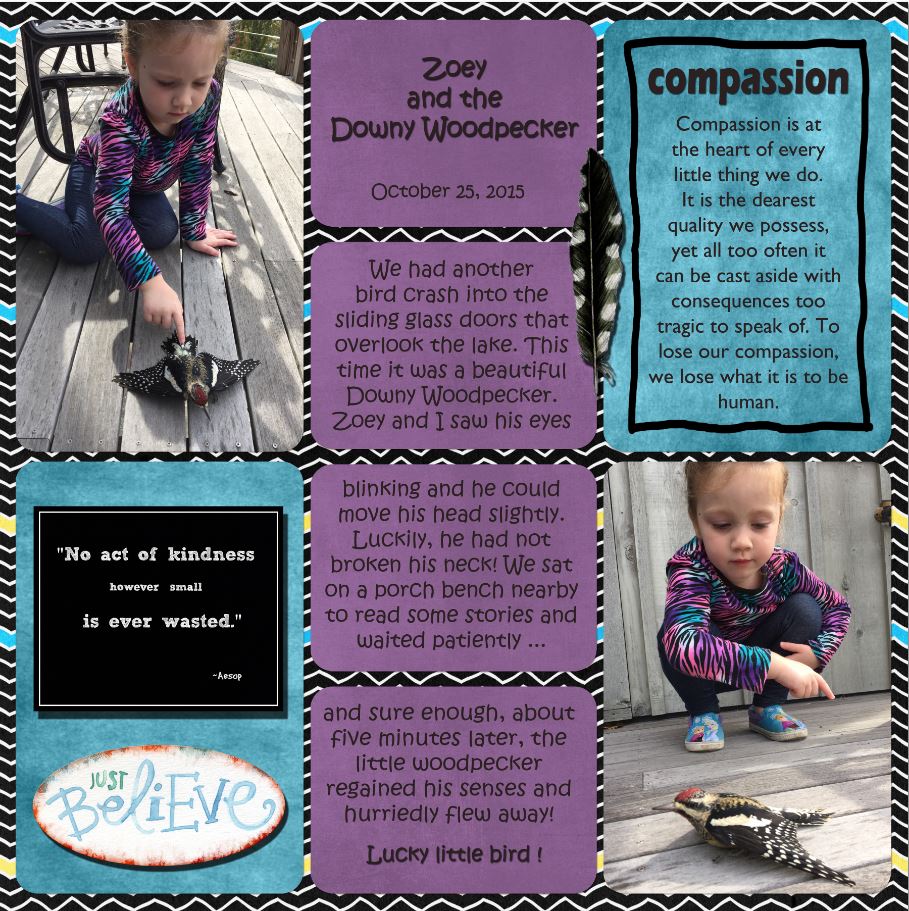 Zoey and the Downy Woodpecker