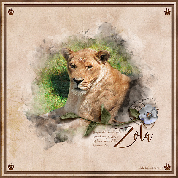 Zola