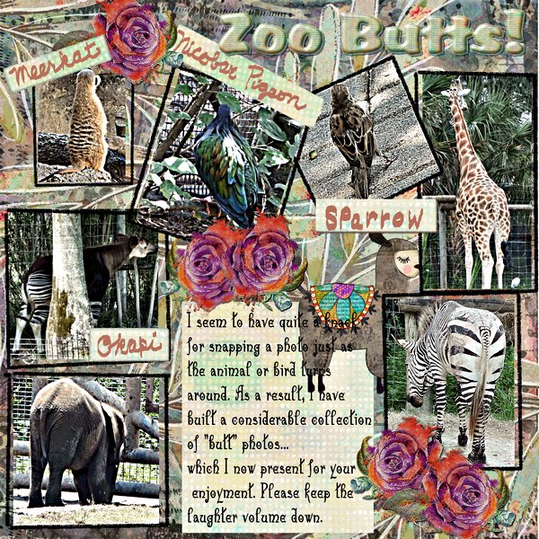 Zoo Butts!