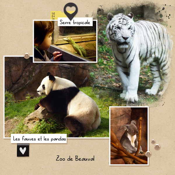 Zoo de Beauval (1)