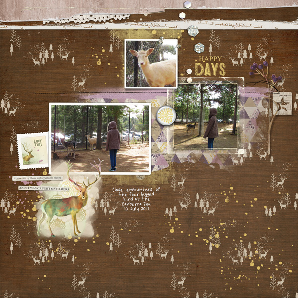 zoo encounters