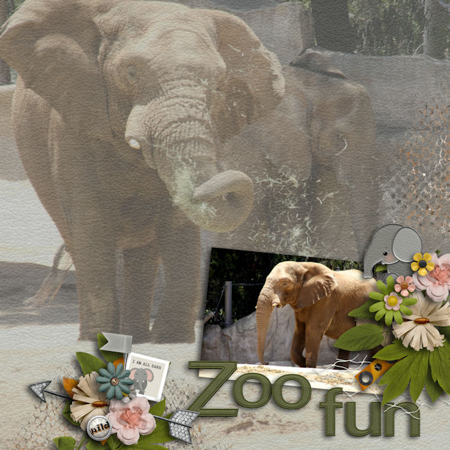 Zoo Fun