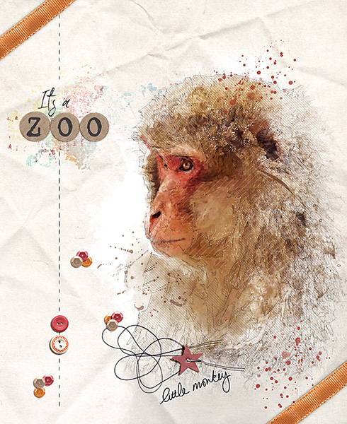 Zoo Monkey