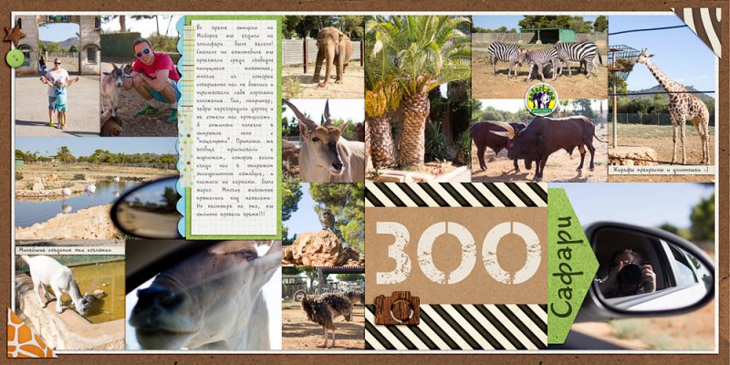 Zoo Safari