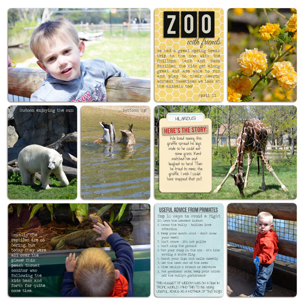 Zoo with Friends