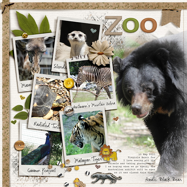 Zoo
