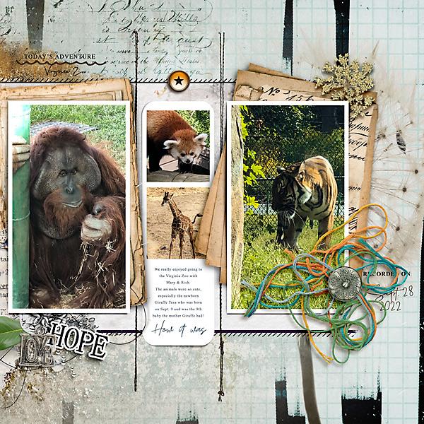Zoo