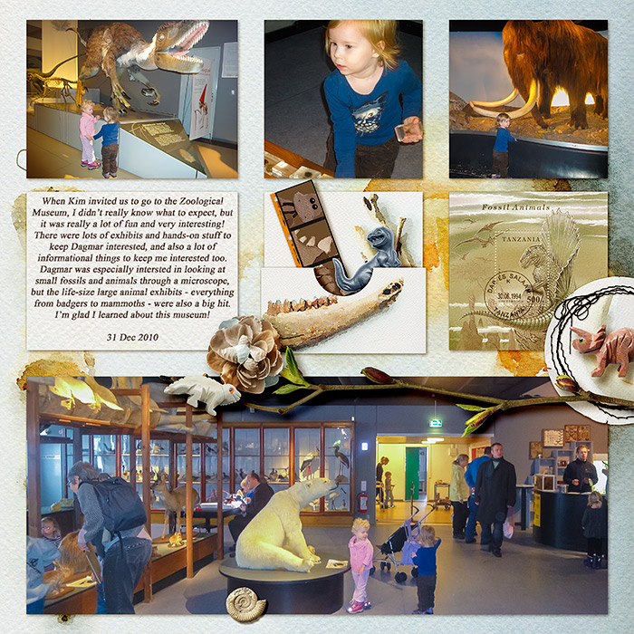 Zoological Museum