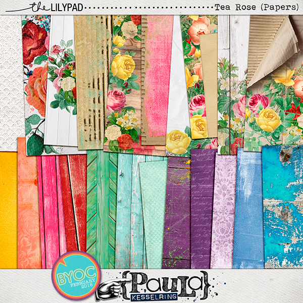 Tea Rose Papers by Paula Kesselring