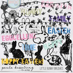Little Bunny Brushes