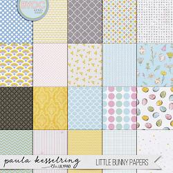 Little Bunny Papers 