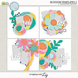 Blossom Templates 2