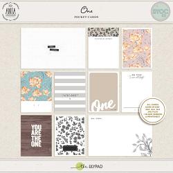 One | Pocket cards One | Pocket cards