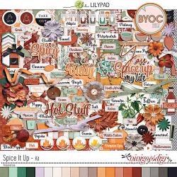 Spice It Up | Kit