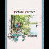 Picture Perfect by Jenn McCabe
