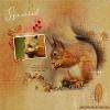 Squirrel by Dady