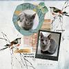 Digital Scrapbook layout by zinzilah using "Changes" collection