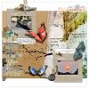 Digital scrapbook layout by cfile using 'Merge and Slide' templates