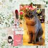 Digital scrapbook layout by Zinzilah using 'This Little Life"