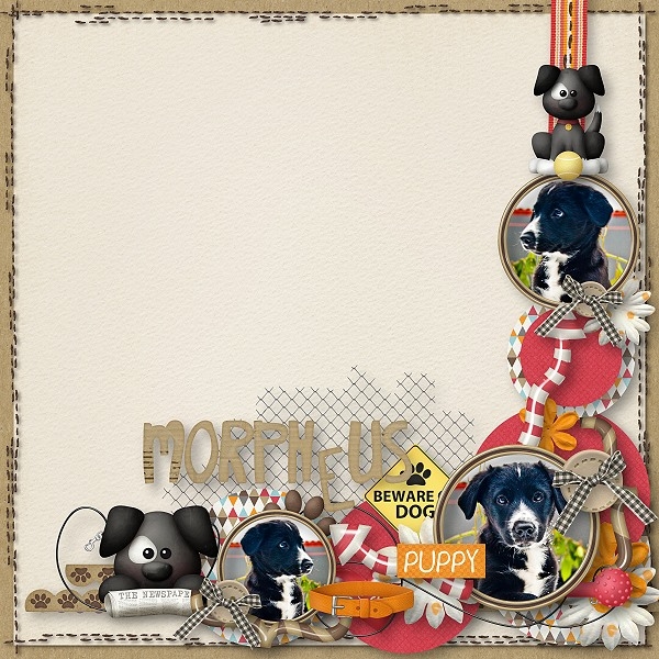 Love Dogs Digital Paper Pack Graphic by Nina Prints · Creative Fabrica