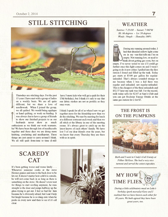 Family newsletter templates by The Lilypad designer Lynn Grieveson