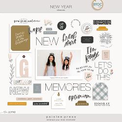New Year elements by paislee press