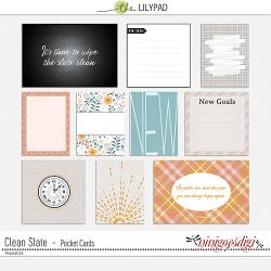 Clean Slate | Pocket Cards
