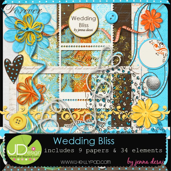 jdesai_weddingbliss_preview